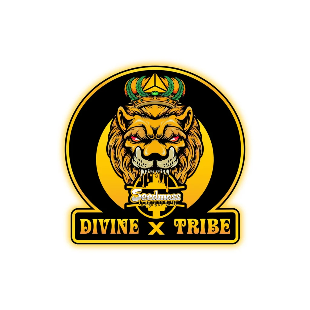 Divine Tribe