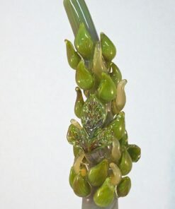 Green hemp leaf fogger extender side